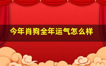 今年肖狗全年运气怎么样