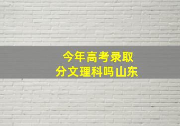 今年高考录取分文理科吗山东