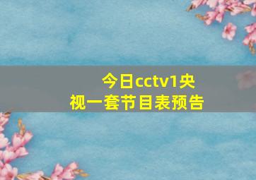 今日cctv1央视一套节目表预告