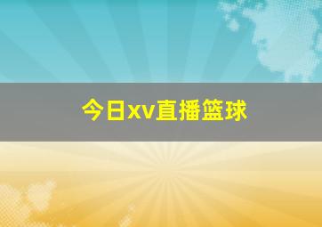 今日xv直播篮球