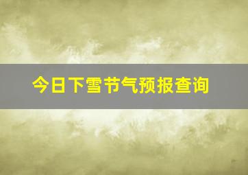 今日下雪节气预报查询