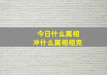 今日什么属相冲什么属相相克