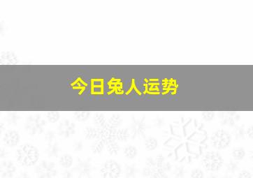 今日兔人运势