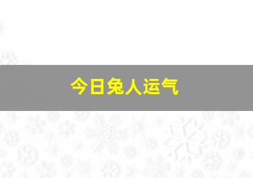 今日兔人运气