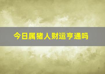 今日属猪人财运亨通吗