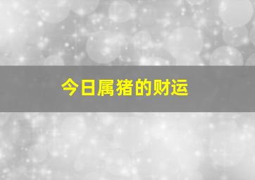 今日属猪的财运