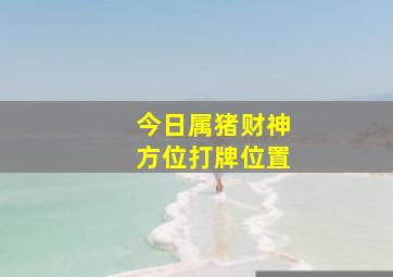 今日属猪财神方位打牌位置