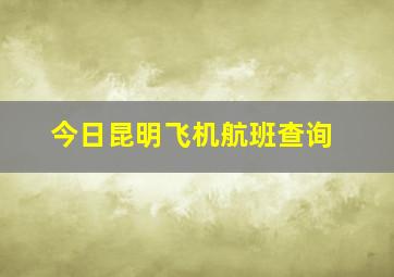 今日昆明飞机航班查询