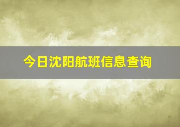 今日沈阳航班信息查询