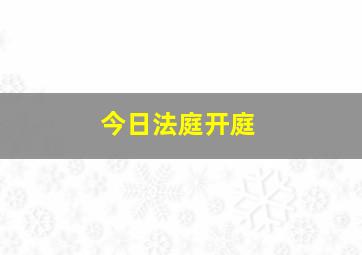 今日法庭开庭