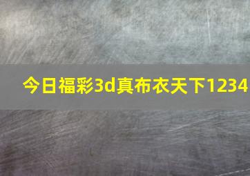 今日福彩3d真布衣天下1234