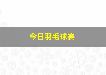 今日羽毛球赛