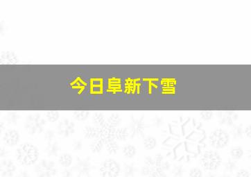 今日阜新下雪