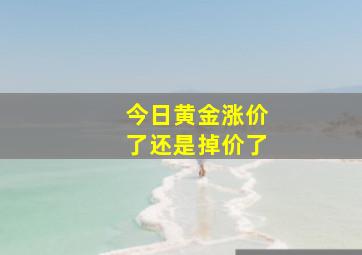 今日黄金涨价了还是掉价了