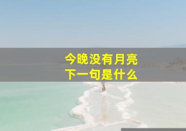 今晚没有月亮下一句是什么