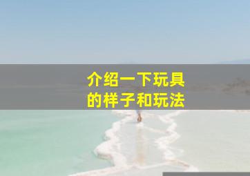 介绍一下玩具的样子和玩法