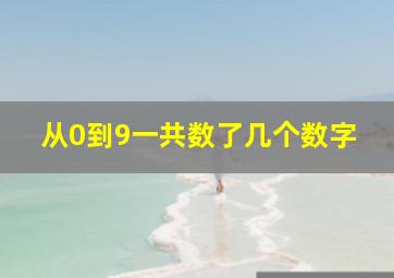 从0到9一共数了几个数字