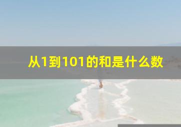 从1到101的和是什么数