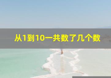 从1到10一共数了几个数