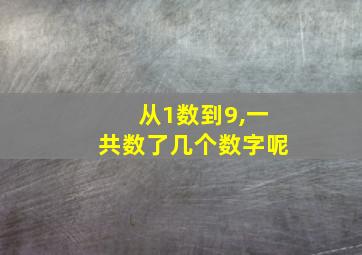 从1数到9,一共数了几个数字呢