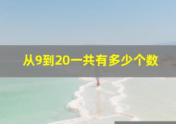 从9到20一共有多少个数