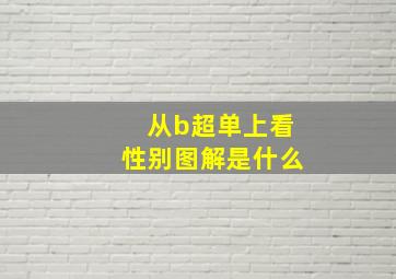 从b超单上看性别图解是什么