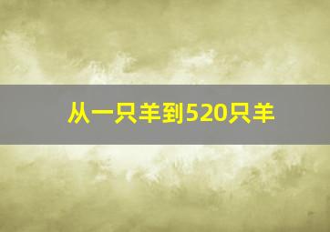 从一只羊到520只羊