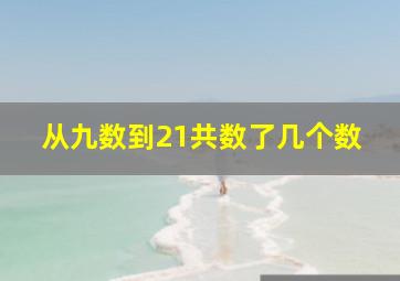 从九数到21共数了几个数