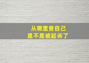 从哪里查自己是不是被起诉了