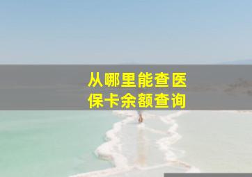 从哪里能查医保卡余额查询