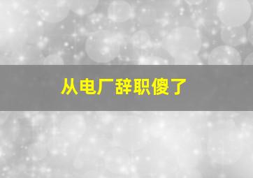 从电厂辞职傻了