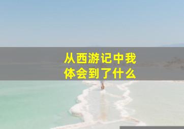 从西游记中我体会到了什么