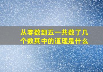 从零数到五一共数了几个数其中的道理是什么