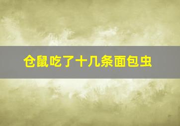 仓鼠吃了十几条面包虫