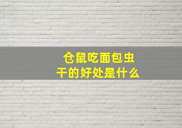 仓鼠吃面包虫干的好处是什么