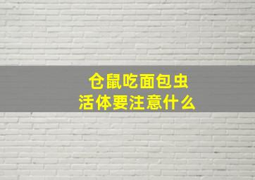 仓鼠吃面包虫活体要注意什么