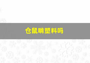 仓鼠啃塑料吗