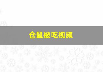 仓鼠被吃视频