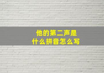 他的第二声是什么拼音怎么写