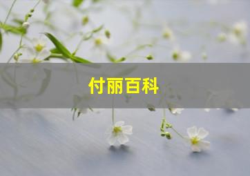 付丽百科