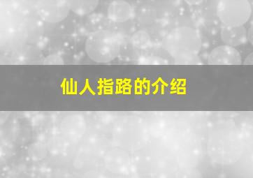 仙人指路的介绍