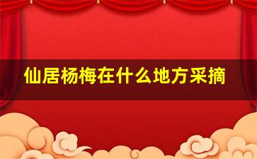 仙居杨梅在什么地方采摘