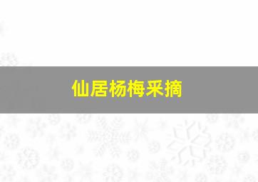 仙居杨梅釆摘