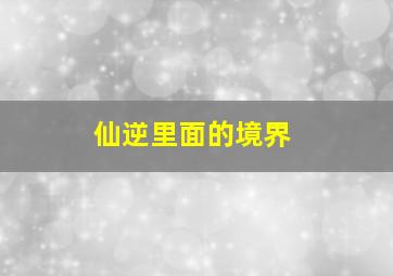 仙逆里面的境界