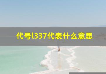 代号l337代表什么意思