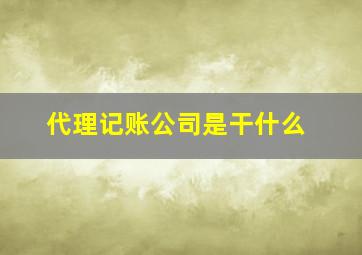 代理记账公司是干什么