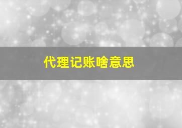 代理记账啥意思