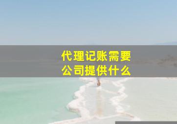 代理记账需要公司提供什么