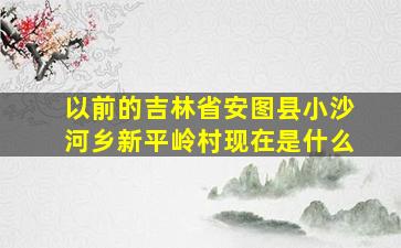 以前的吉林省安图县小沙河乡新平岭村现在是什么