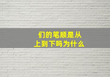 们的笔顺是从上到下吗为什么